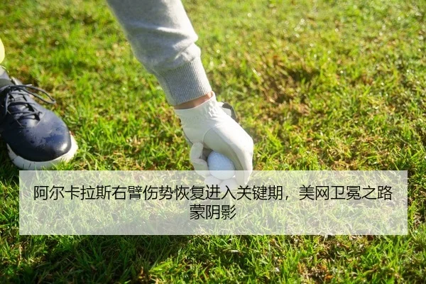 a-er-ka-la-si-you-bi-shang-shi-hui-fu-jin-ru-guan-jian-qi-mei-wang-wei-mian-zhi-lu-meng-yin-ying-2-345.jpg
